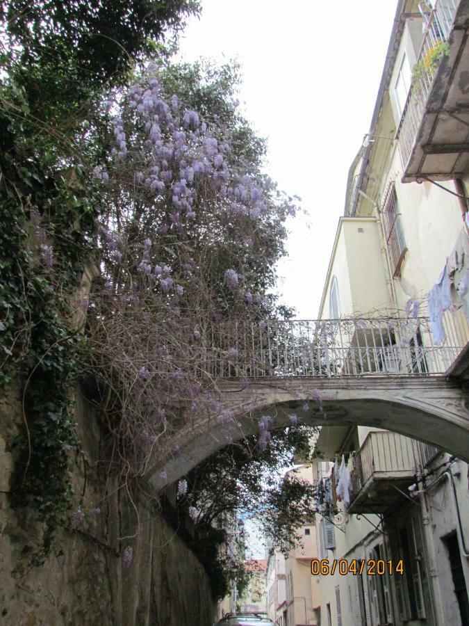 Appartement Bastia Au Pied Du Vieux Port Zewnętrze zdjęcie